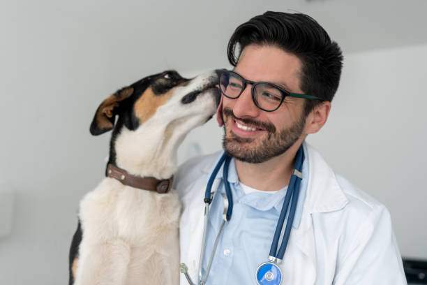 What Problems Does A Veterinary Neurologist Diagnose And Treat 