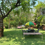 Renting a Car in Tenerife: A Practical Choice for Independent Travelers