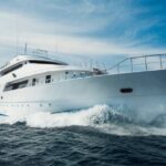The Freedom of Seamless Global Travel Connection