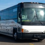 How to Plan a Bachelor Party with Limo Rental